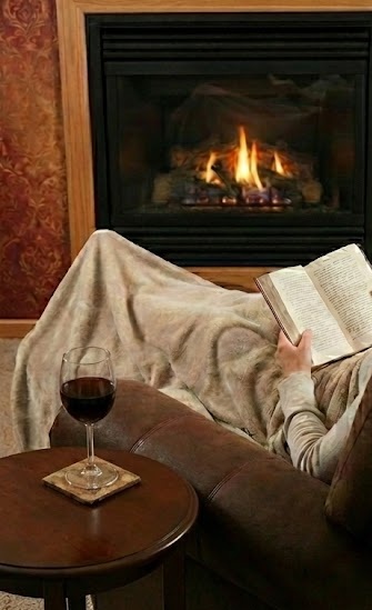 Cozy Fireplace Scene 2