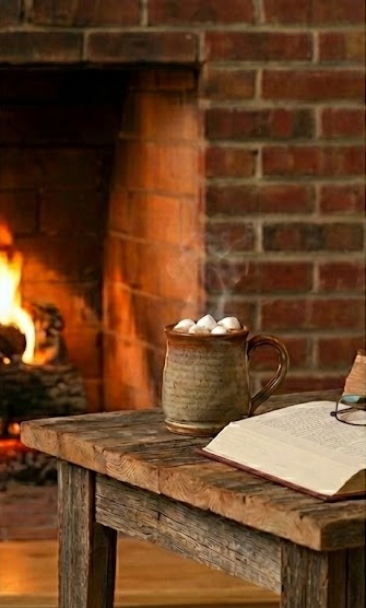 Cozy Fireplace Scene 3